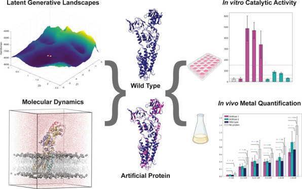Graphical abstract from the paper: a latent generative landscape and a molecular dynamics simulation feed into wild-type and artificial protein structures, which are then tested for in vitro catalytic activity and in vivo metal quantification.